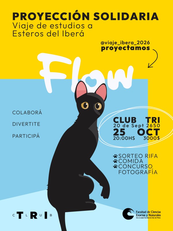 PROYECCCIÓN SOLIDARIA: FLOW